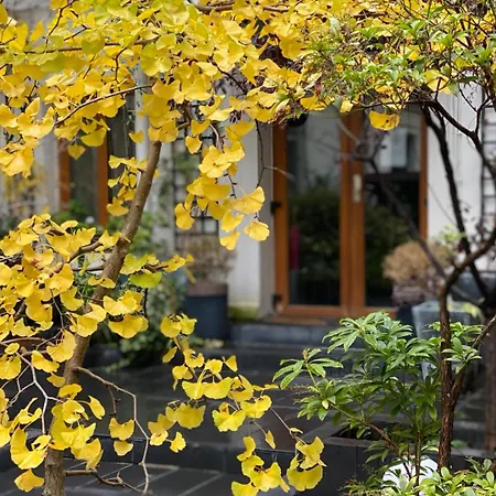 Camparis - - D'hotes Bed & Breakfast